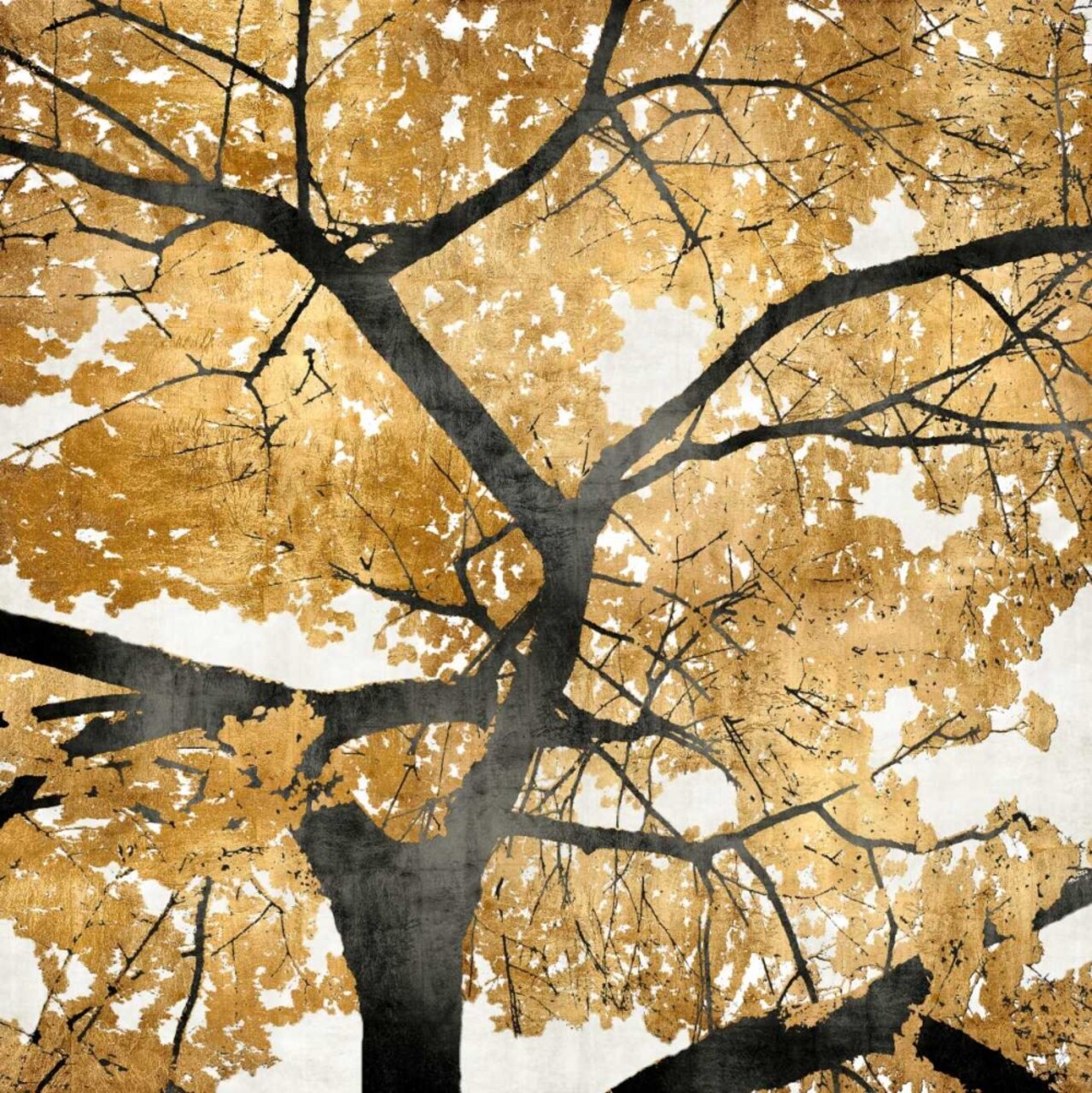 Golden Leaves Poster Print by Kate Bennett # KTB111459DG